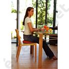 SISSEL SITFIT Plus 2 funkciós ülőpárna, 37cm, piros SISSEL SITFIT Plus 2 funkciós ülőpárna, 37cm, piros